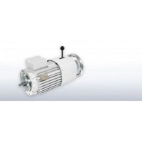 德國(guó)VEM電機(jī)K21R 225M 8-4 TWS HW