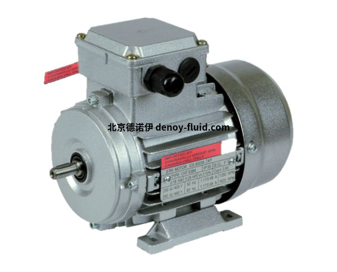 chiaravalli IE1鑄鐵電機