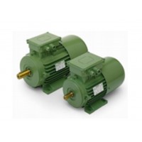 意大利永磁同步電機OEMER QS160M 原廠直供