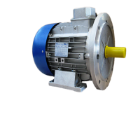 mt motori三相電機(jī)DN系列