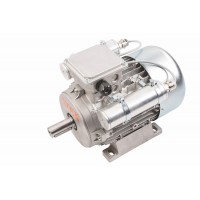 德國供應(yīng)吉莫泰格GEMOTEG防爆電機(jī)和直流電機(jī)