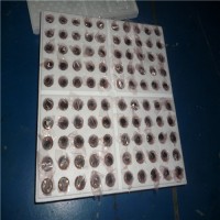 專業(yè)銷售Faulhaber微型電機系列2250...BX4S