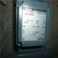 Bauer電機(jī)BG10-11/D08LA4-TF-K優(yōu)勢供應(yīng)