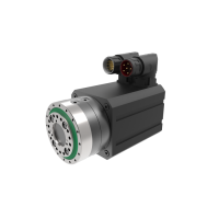 斯洛伐克 spinea 高精度執(zhí)行器  DS/DSM 095系列