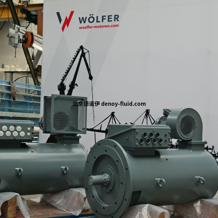 woelfer起重機(jī)用三相鼠籠式電機(jī)