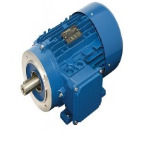 Carpanelli高效電機IE3 MRE100a2型