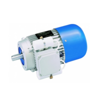 Carpanelli異步三相制動電機MA系列