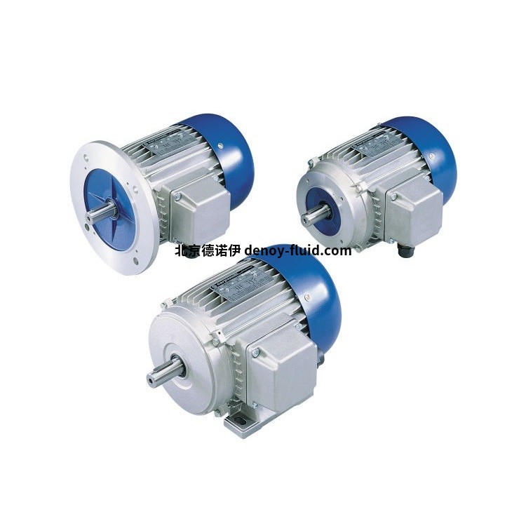 Carpanelli三相電機(jī)說(shuō)明