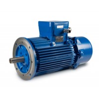 CEMP帶制動(dòng)器的IEC防爆電機(jī)系列進(jìn)口