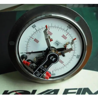 意大利NUOVA FIMA壓力表MD15