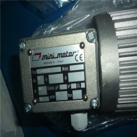 意大利 Mini Motor 無(wú)刷交流電機(jī)