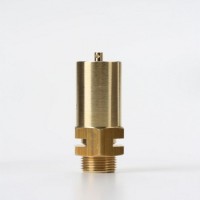 意大利Nuova General  E10高壓安全閥技術參數(shù)