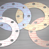 德國CNAF墊片James Walker密封