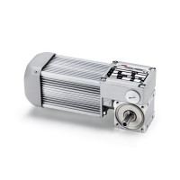 Mini Motor BC2000 M蝸輪減速電機技術(shù)參數(shù)