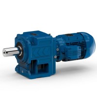 Watt Drive 蝸輪減速電機 扭矩范圍：17 - 230 牛米