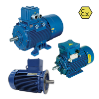 德國BEVI 3DX系列防爆電機(jī)
