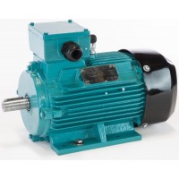 德國進口Brook Crompton防塵點火系列電機WU / WP-UDF225S