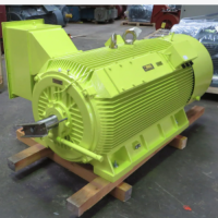 德國Menzel異步鼠籠電機 電壓從 380V到13800V