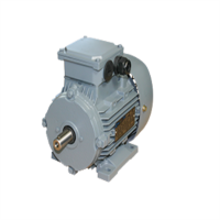 emwb  Elektromotorenwerk Brienz AG標準發(fā)動機