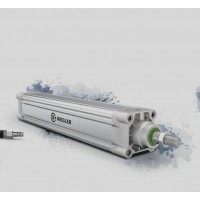 Riegler控制閥 FU624系列