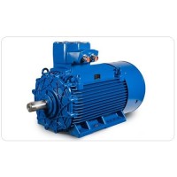 CempTCI 系列 - 安全區(qū)域電機(jī)