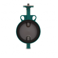 interapp閥門BIANCA系列蝶閥PTFE內(nèi)襯中心蝶閥