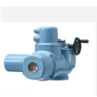 英國羅托克Rotork智能執(zhí)行器IQT