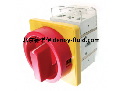 ELEKTRA主開關(guān)急停開關(guān)DK1 00/HS-F35-D-RG 302 498型