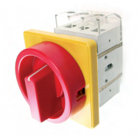 ELEKTRA主開關(guān)急停開關(guān)DK1 00/HS-F35-D-RG 302 498型