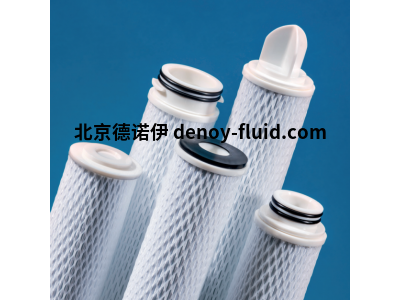 Wolftechnik 折疊元件膜濾芯ECP01-10型纖維素-聚酯材質