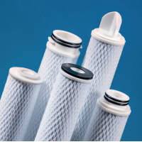 Wolftechnik 折疊元件膜濾芯ECP01-10型纖維素-聚酯材質(zhì)