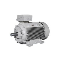 Lammers防爆電機(jī) 1TZ9002-0BA6效率等級(jí)：IE2、IE3