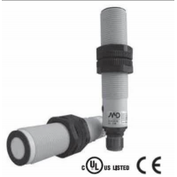 波蘭SELS 是世界領(lǐng)先的傳感器制造商