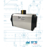 Evian 旋轉(zhuǎn)氣動執(zhí)行器，AISI 316氣動執(zhí)行機構(gòu)