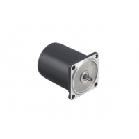 瑞典進口Transmotec 感應交流減速電機，功率高達120W