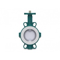 interapp金屬閥體 DN 32-900適用腐蝕性流體PTFE內(nèi)襯BIANCA同心蝶閥