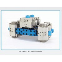 elaflex 100系列充氣點壓力分配器壓縮天然氣加氣機(jī)歧管