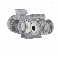 Johnson Pump 內(nèi)嚙合齒輪泵，適用于中等粘度、清潔和非磨蝕性液體