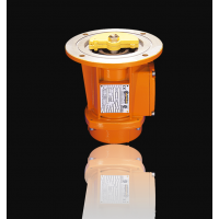 意大利Italvibras G. Silingardi /MTF-E 帶側(cè)法蘭的垂直電動(dòng)機(jī)