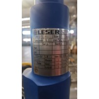 德國LESER 4373.2604用于液體應(yīng)用的安全閥液化天然氣和液化石油氣行業(yè)