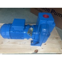 德國Johnson Pump  TLP2290 2.29 100用于食品行業(yè)無菌線上使用