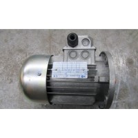 M.T. Motori 帶雙制動(dòng)器的自制動(dòng)電機(jī) TFF 系列用于搬運(yùn)