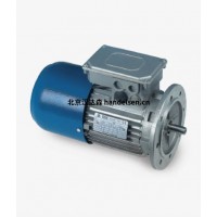 意大利STM平行軸螺旋齒輪減速機(jī)