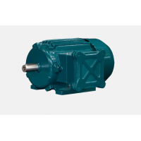 意大利Electro Adda高溫用三相異步電動(dòng)機(jī)