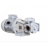 Johnson Pump TopGear Bloc 內(nèi)嚙合齒輪泵以直接驅(qū)動電機(jī)的速度運行