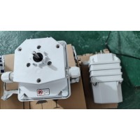 Stromag51_75_BM0Z_498輔助電流變速箱凸輪終端開關(guān)