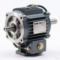 ENGEL GNM 3175 直流電機(jī)：750W功率密度與高效運(yùn)行的完美平衡